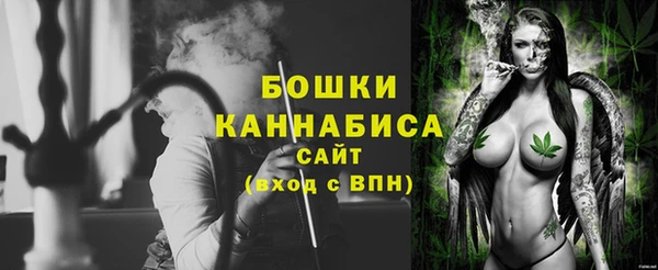 шишки Арсеньев