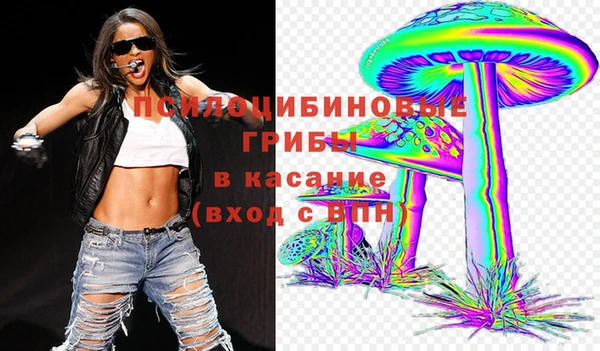 винт Армянск