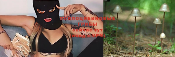 дживик Сосновка