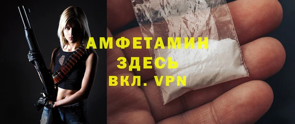 шишки Арсеньев