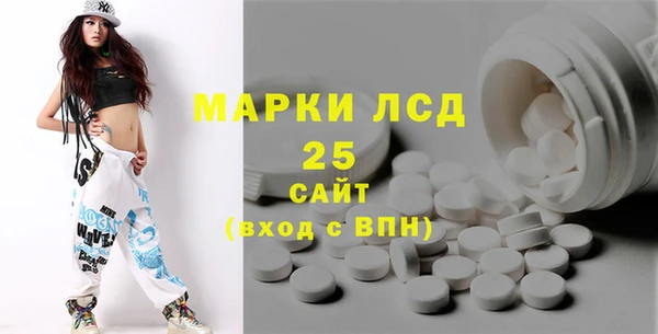 шишки Арсеньев