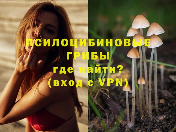 дживик Сосновка