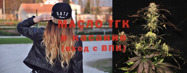 шишки Арсеньев